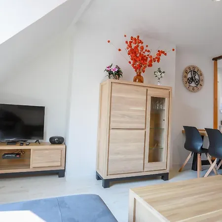Apartment Le St-francois Charmant Duplex 3 Etoiles En Vieille Annecy