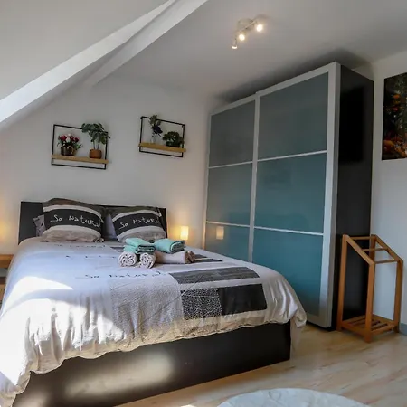 Apartment Le St-francois Charmant Duplex 3 Etoiles En Vieille