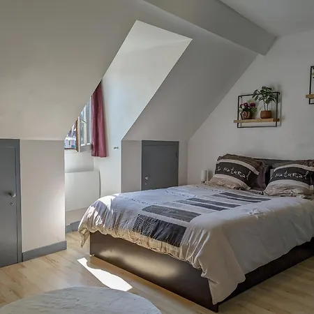 Le St-francois Charmant Duplex 3 Etoiles En Vieille Annecy