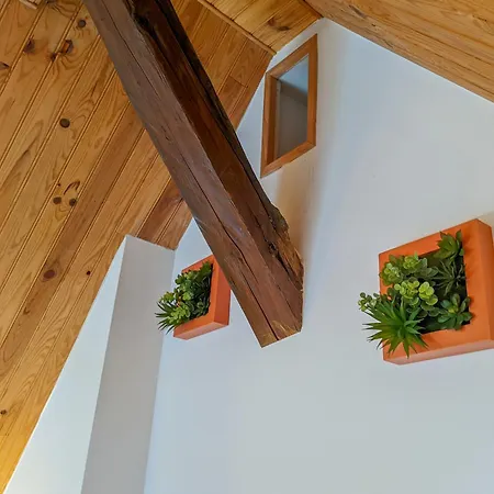 Apartment Le St-francois Charmant Duplex 3 Etoiles En Vieille *
